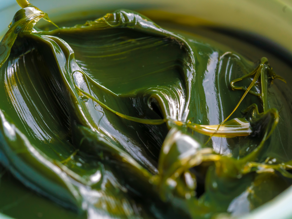 the-role-of-lubricants-in-preventing-equipment-failure